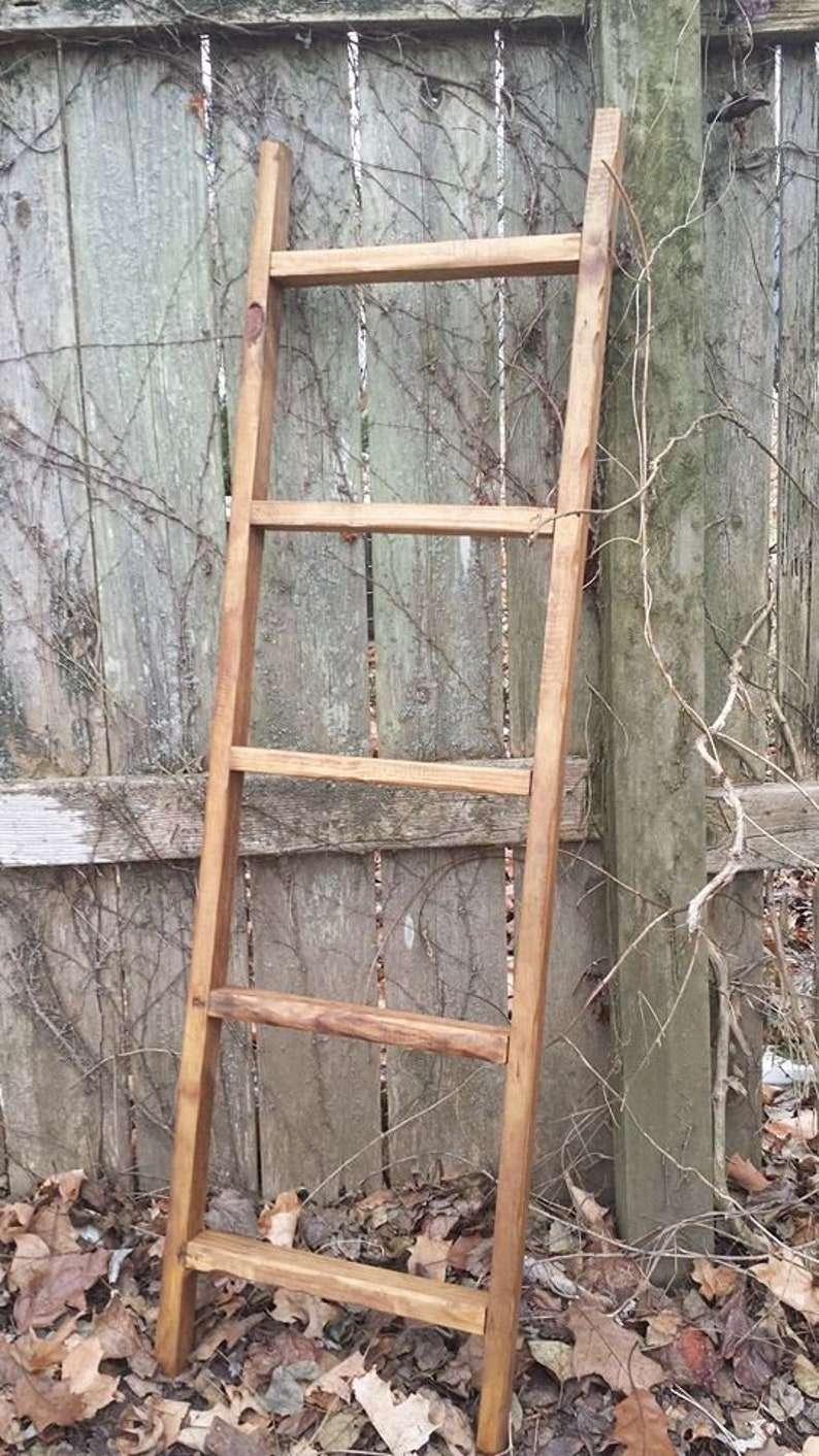 May include: A wooden ladder leaning against a weathered wooden fence. The ladder has five rungs and is made of natural wood.