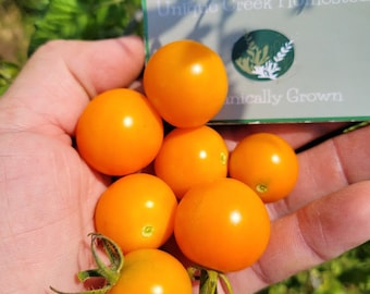 SPECIAL Limited Time Sale Pricing Sungold Cherry 10 TOMATO Seeds Organically Grown Unique Creek Homestead Wildlife Habitat & Gardens Indiana