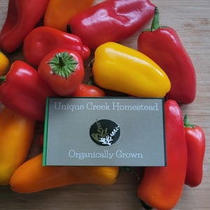 LUNCHBOX SNACKERS Sweet Mini PEPPER Seeds Grown At Unique Creek Homestead Certified National Wildlife Sanctuary Southern Indiana Garden