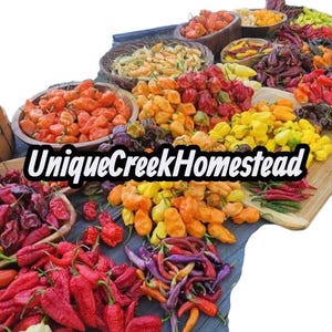 May include: A vibrant display of various chili peppers in shades of red, orange, yellow, and purple. The peppers are arranged in wooden bowls and on a wooden surface. The text "UniqueCreekHomestead" is visible.