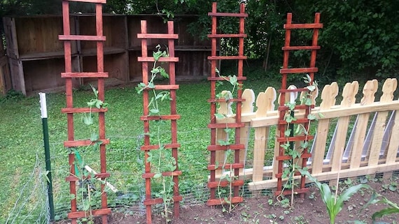 Wooden 2024 garden trellis