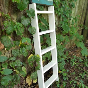 May include: White wooden ladder shelf with five shelves. The ladder is leaning against a green leafy vine covered wall. A sign above the ladder reads "Unique Primitives".