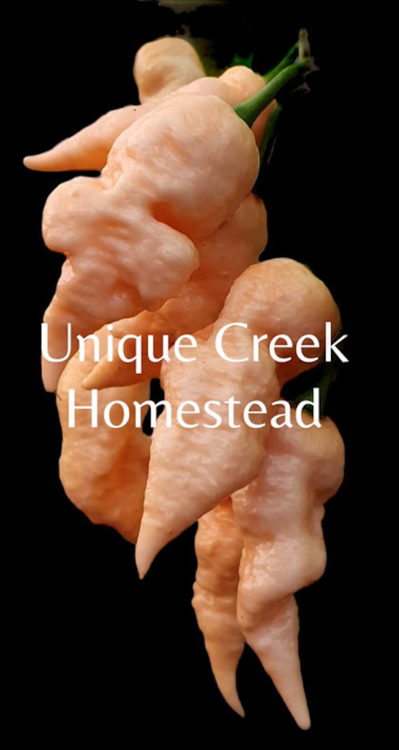 Peach Mutant X Pepper Seeds 1,000,000+ Scoville Super Hot Hottest