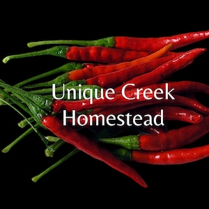 Chili de Arbol Pepper Seeds 30,000+ Scoville SHU Mexican Pepper Unique Creek Homestead Certified Wildlife Habitat Southern Indiana Gardens