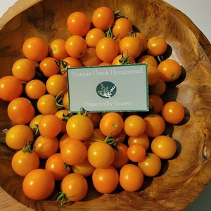 Sungold Cherry TOMATO Seeds Organically Grown Unique Creek Homestead Certified National Wildlife Sanctuary Southern Indiana Garden