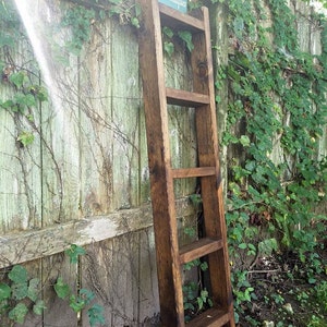 May include: A rustic wooden ladder shelf with five shelves. The ladder is leaning against a wooden fence with green vines growing on it. A small sign with the text "La Primitiques" is attached to the top of the ladder.