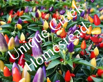 Chinese Five 5 Color Ornamental Edible Hot Pepper Seeds 30,000