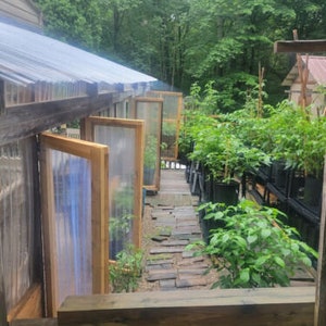 Pu&ograve; includere: Vista esterna di una serra con telai in legno e pannelli trasparenti. Una passerella in legno conduce a un giardino con varie piante in vaso. Il fogliame verde lussureggiante circonda la struttura.