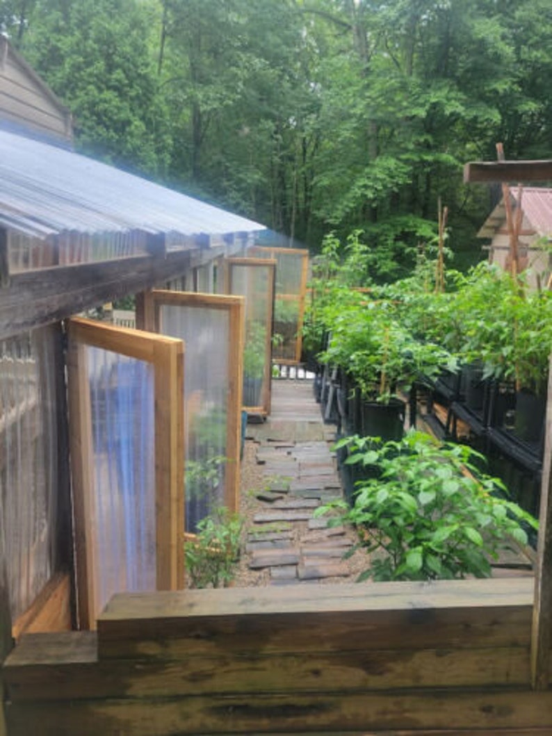 Pu&ograve; includere: Vista esterna di una serra con telai in legno e pannelli trasparenti. Una passerella in legno conduce a un giardino con varie piante in vaso. Il fogliame verde lussureggiante circonda la struttura.