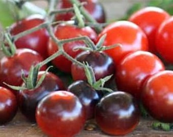 SPECIAL Limited Time Price BLUEBERRIES TOMATO 25-Seeds Unique Creek Homestead Certified National Wildlife Sanctuary Southern Indiana Garden