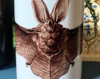 Long Eared Bat Mug