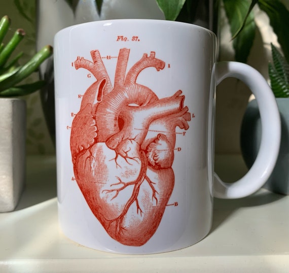 Tazza cuore anatomico -  Italia