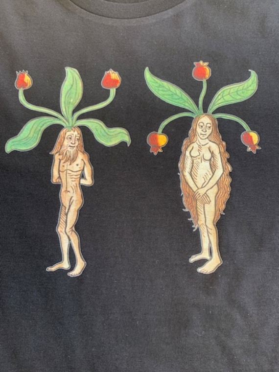 LADIES T Shirt - Mandrake