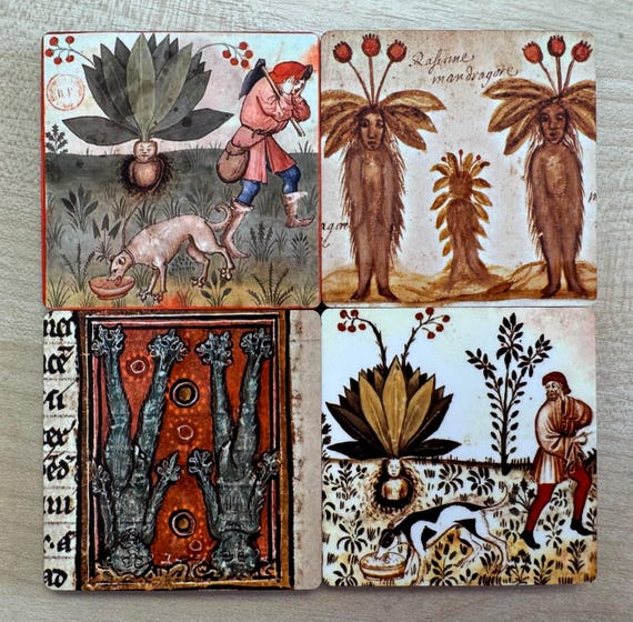 Medieval Mandrake magnets