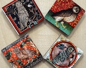Medieval Owl magnets