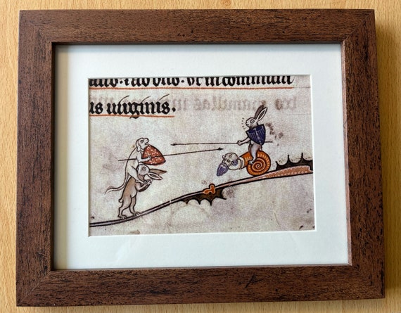 Duelling Rabbits Framed Print - Choose from 2 frame styles