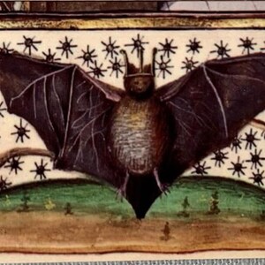 K&ouml;nnte beinhalten: Eine mittelalterliche Illustration einer Fledermaus mit einer Krone auf dem Kopf, die vor einem Hintergrund von Sternen fliegt. Die Fledermaus ist in Braun- und Schwarzt&ouml;nen dargestellt, mit einer detaillierten Fl&uuml;gelspannweite.