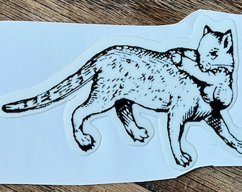 Gato que roba pene
