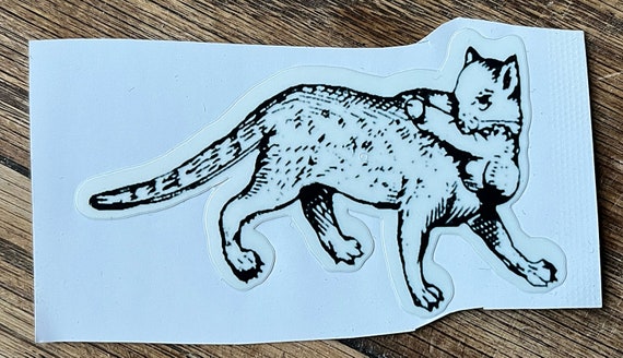 Penis stealing cat