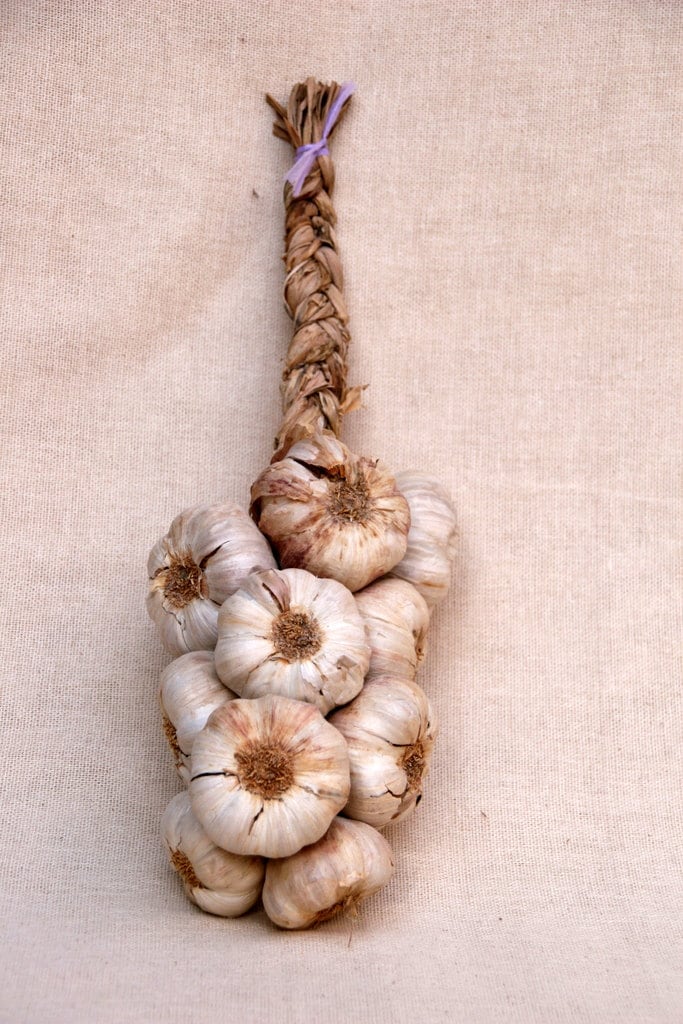 Garlic Braid Etsy
