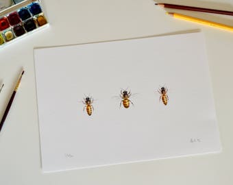 Bee print | Honey Bees picture | Bee art print | Three bees drawing |