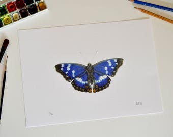 Butterfly print | Butterfly picture | 'Purple Emperor' Butterfly drawing | Butterfly art print | Blue Butterfly print |