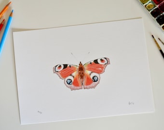 Butterfly print | Butterfly art print | Peacock butterfly picture | Butterfly drawing |