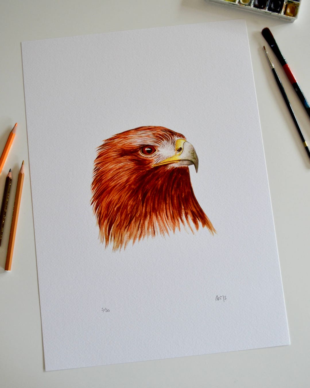 Golden Eagle Print Eagle Picture Golden Eagle Art Print Etsy