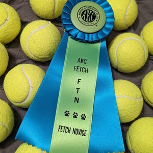 AKC Fetch Novice Dog Rosette ribbon