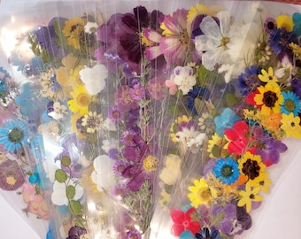 Pair Pressed Flower Bookmarks Clear Transparent Pressed Flower Large Bookmarks, Floral Bookmarks, Real Flower Bookmarks