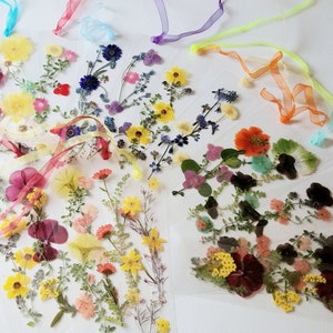 May include: Assortment of pressed flower bookmarks with colorful ribbons. Each bookmark features a unique arrangement of dried flowers, including yellow, red, purple, and white blooms.