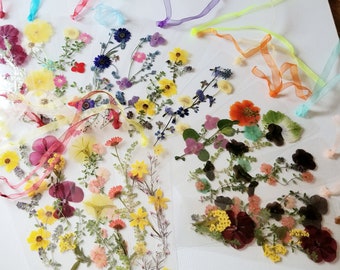 Op de afbeelding: Assortiment van gedroogde bloemen-bladwijzers met kleurrijke linten. Elke bladwijzer heeft een unieke opstelling van gedroogde bloemen, waaronder gele, rode, paarse en witte bloemen.