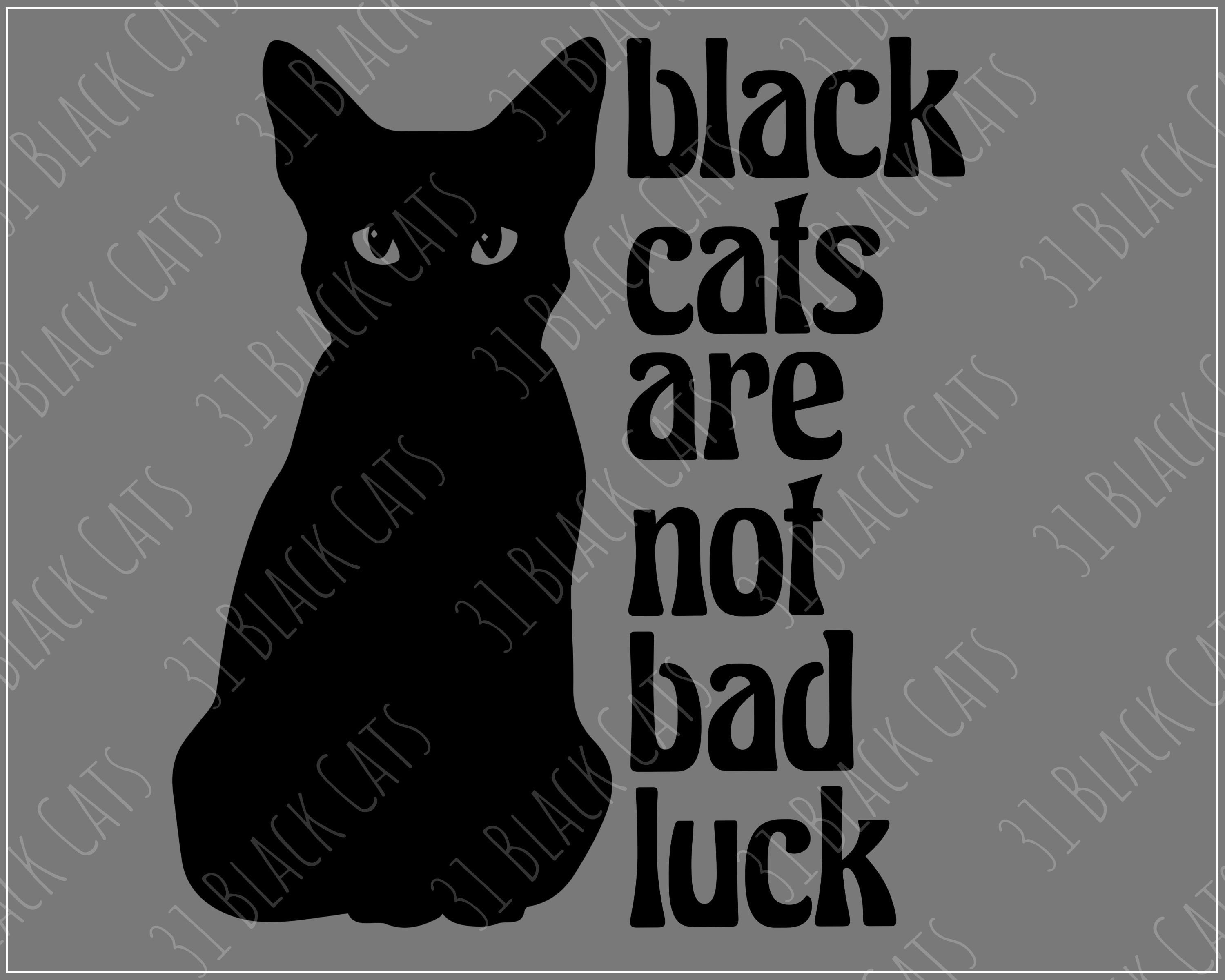 Black Cat Svg Png Black Cats Are Not Bad Luck Svg Png Cat Svg Kitten