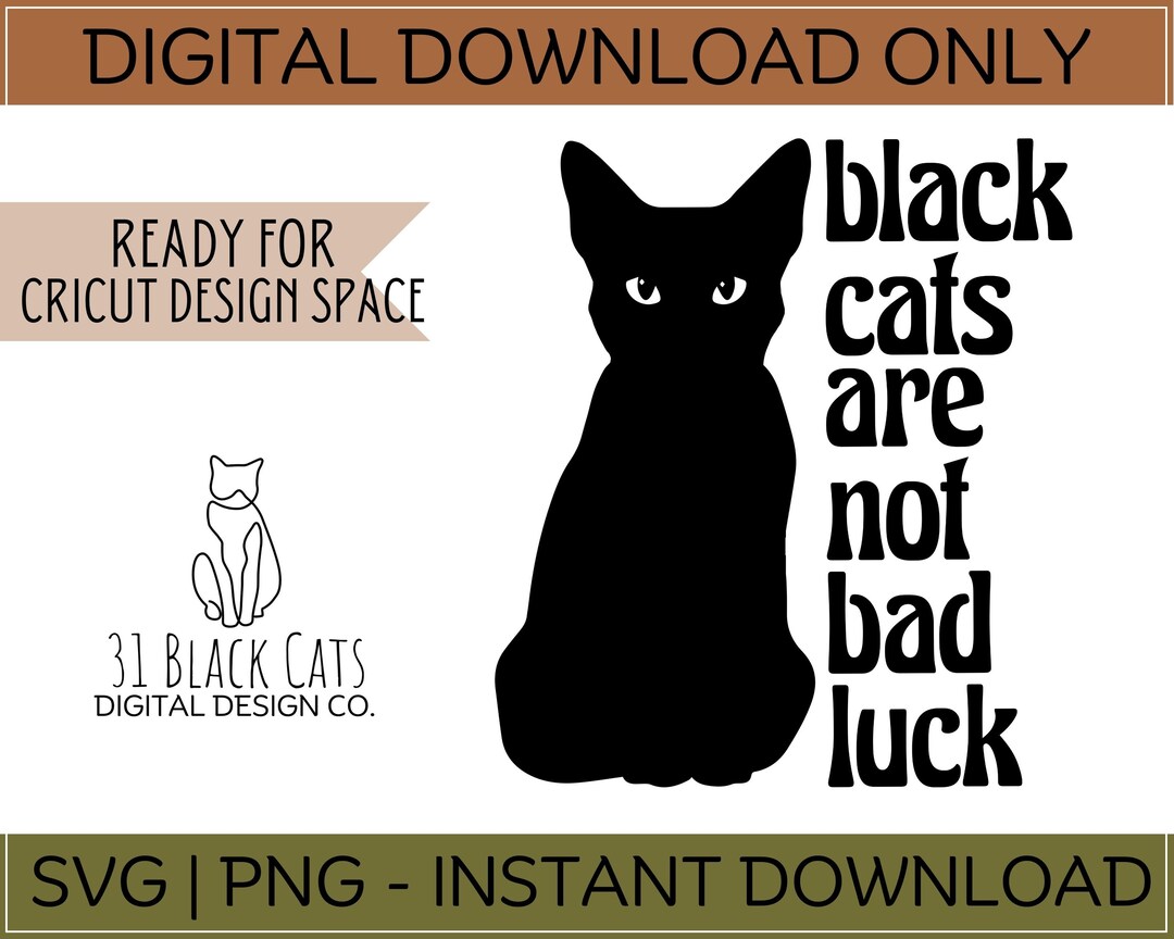 Black Cat Svg Png Black Cats Are Not Bad Luck Svg Png Cat Svg Kitten