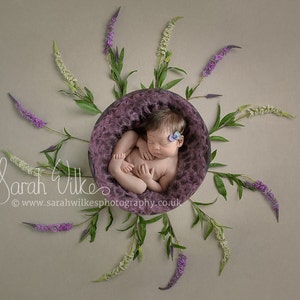 Newborn Digital Background - Pink Heather Flower Swirl