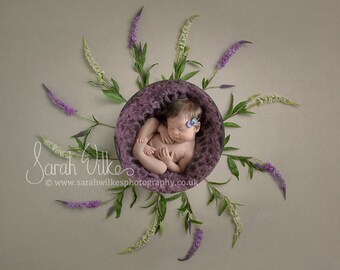 Newborn Digital Background - Pink Heather Flower Swirl