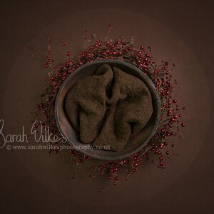 Newborn Digital Backdrop -  Christmas Berry Bowl