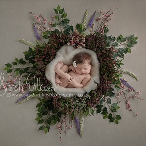 Newborn Digital Backdrop - Heather Flower Star