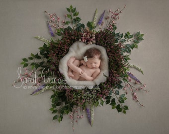 Newborn Digital Backdrop - Heather Flower Star