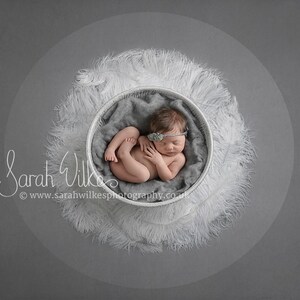 Newborn Digital Backdrop - Circle Feather Swirl