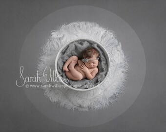 Newborn Digital Backdrop - Circle Feather Swirl