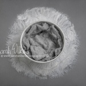 Newborn Digital Backdrop - White Feather Swirl