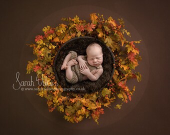 Newborn Digital Backdrop - Autumn Leaves Circle