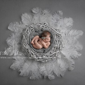 Newborn Digital Background - White Feather Nest