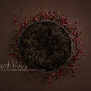 Newborn Digital Backdrop - Christmas Berry Fluff Bowl