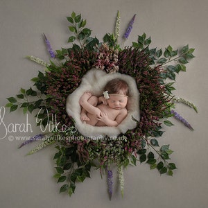 Newborn Digital Backdrop - Heather Flower Star