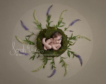 Newborn Dital Backdrop - Garden Circle Flower Swirl
