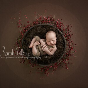 Newborn Digital Backdrop - Christmas Berry Fluff Bowl