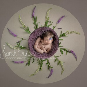 Newborn Digital Background - Circle pink Heather Flower Swirl