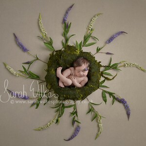 Newborn Digital Backdrop - Garden Flower Swirl